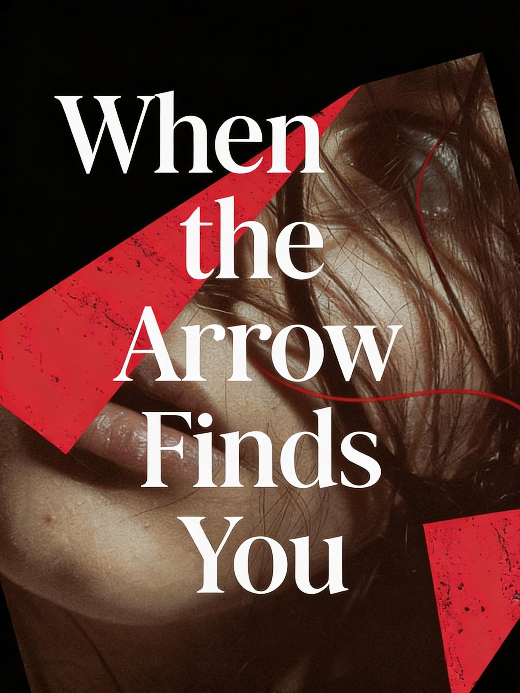 When the Arrow Finds You cover art